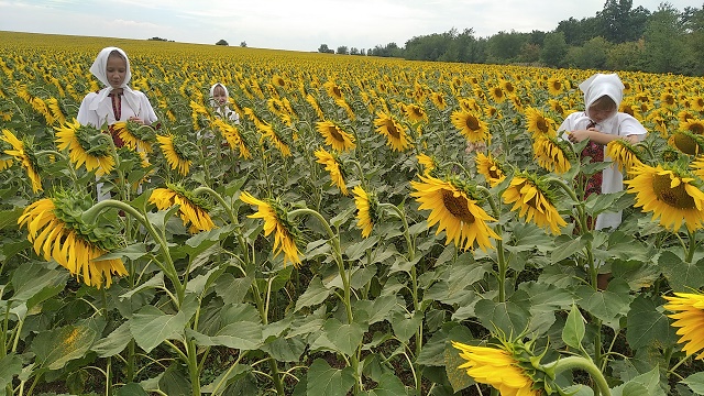 foto 2020 09 07 09 38 1