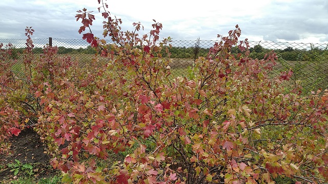 foto 22 10 2021 11 51 2