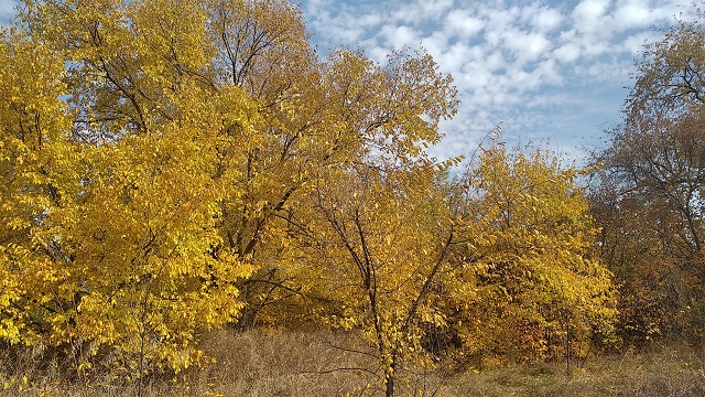 foto 22 10 2021 11 51 5