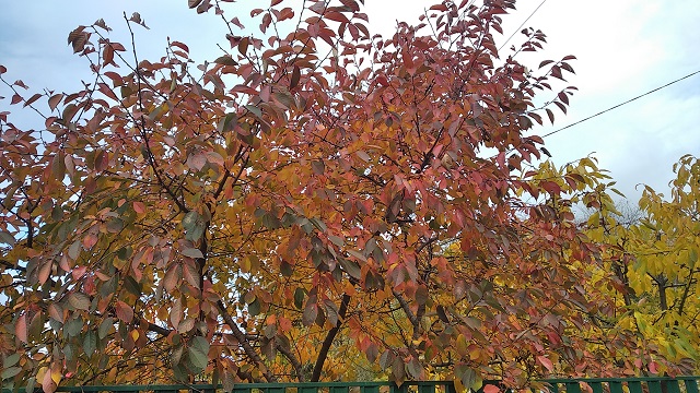 foto 22 10 2021 11 51 9