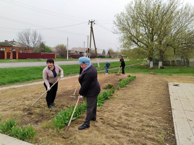 Image04 20 6