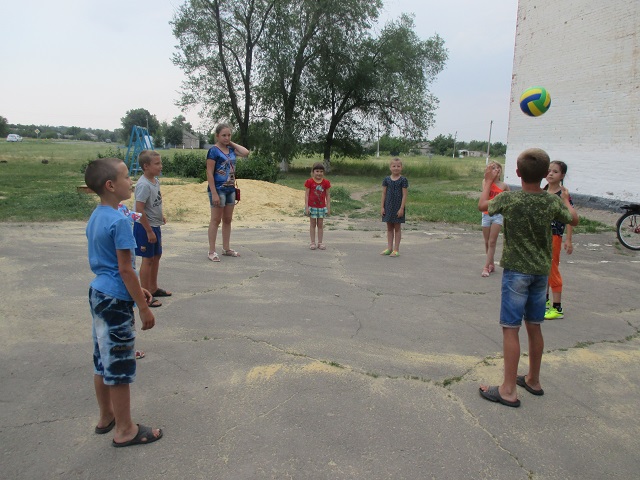 IMG 1981