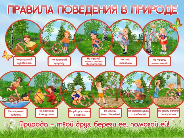 foto 2025 07 21 08 32 005