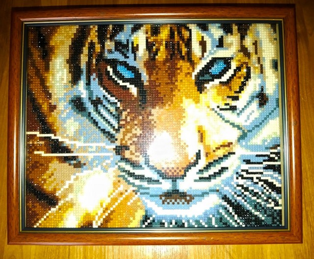 foto 2025 08 13 09 33 001