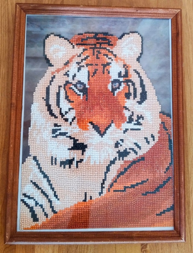 foto 2025 08 13 09 33 005