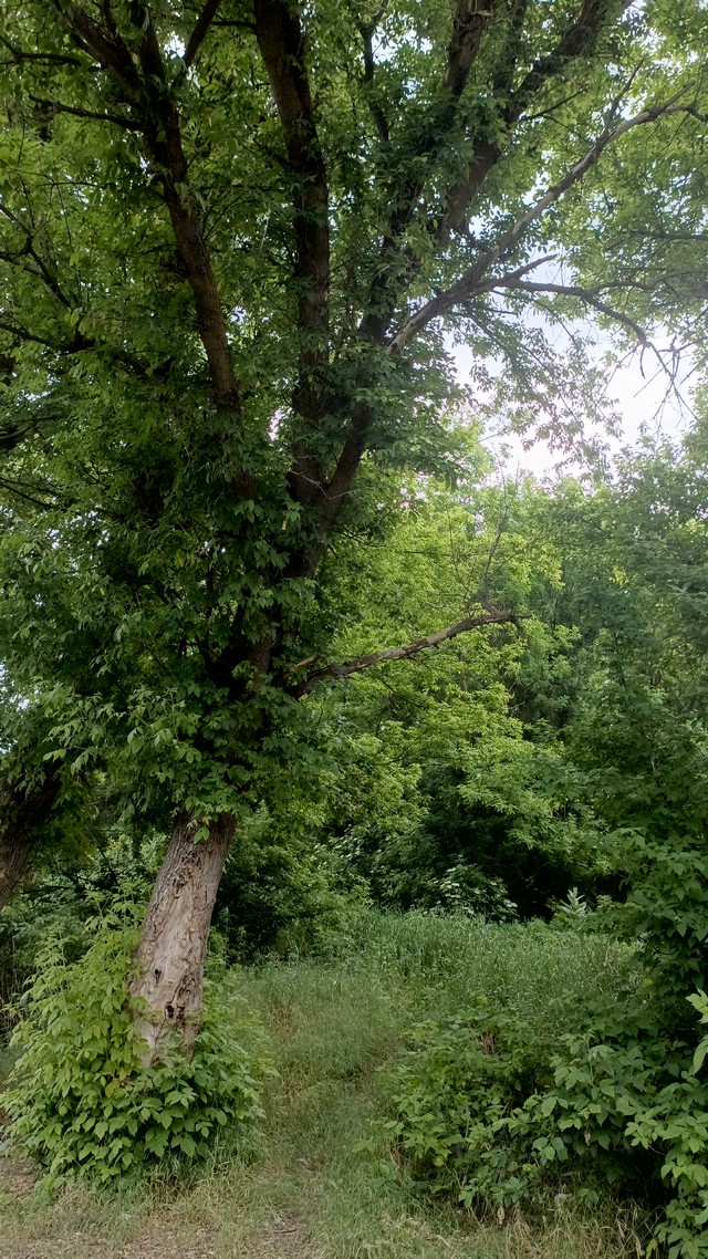 foto 2025 06 10 10 14 002