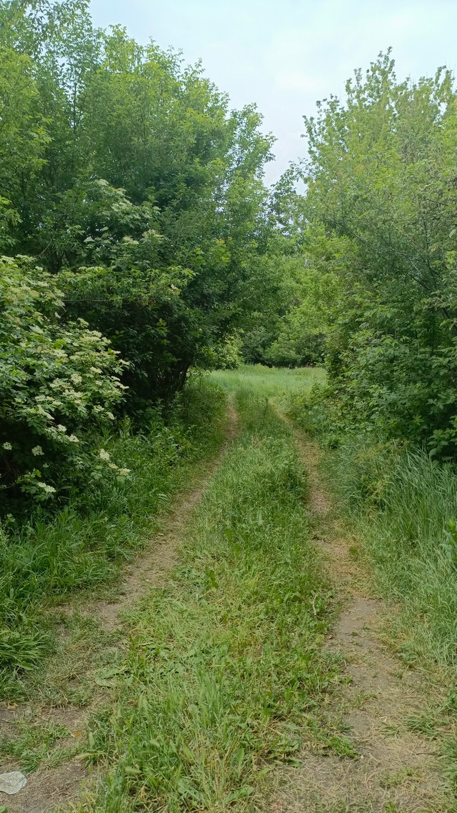 foto 2025 06 10 10 14 005